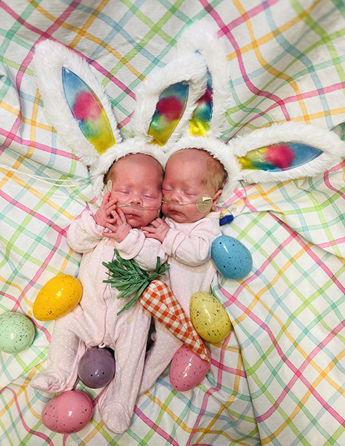 w251103_HSHSStVincent_a-1