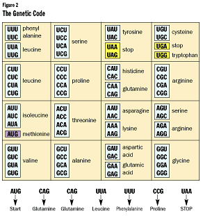 Genetics: An Introduction to Genetics